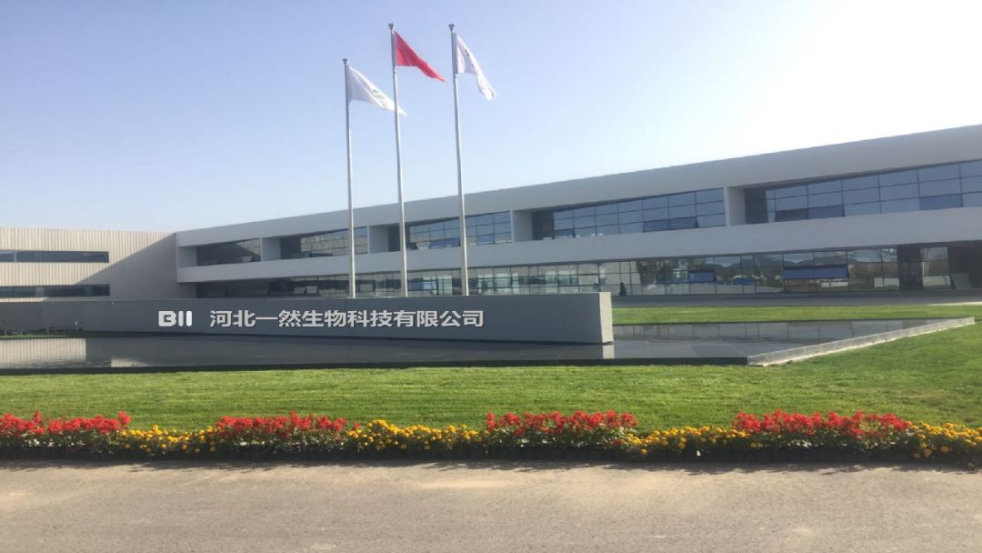 1575105815868480.jpg 6.jpg