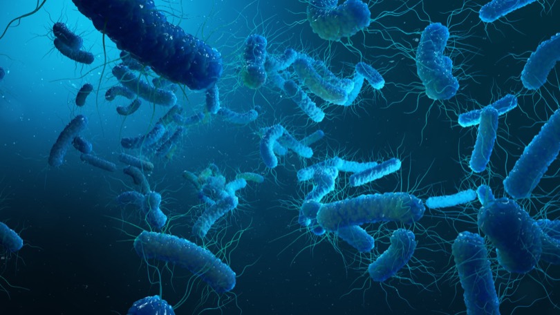 1582722865795720.jpeg WechatIMG2429.jpeg