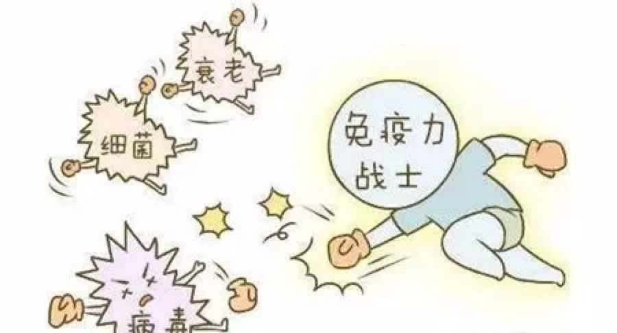 1582817562210691.png WechatIMG2470.png