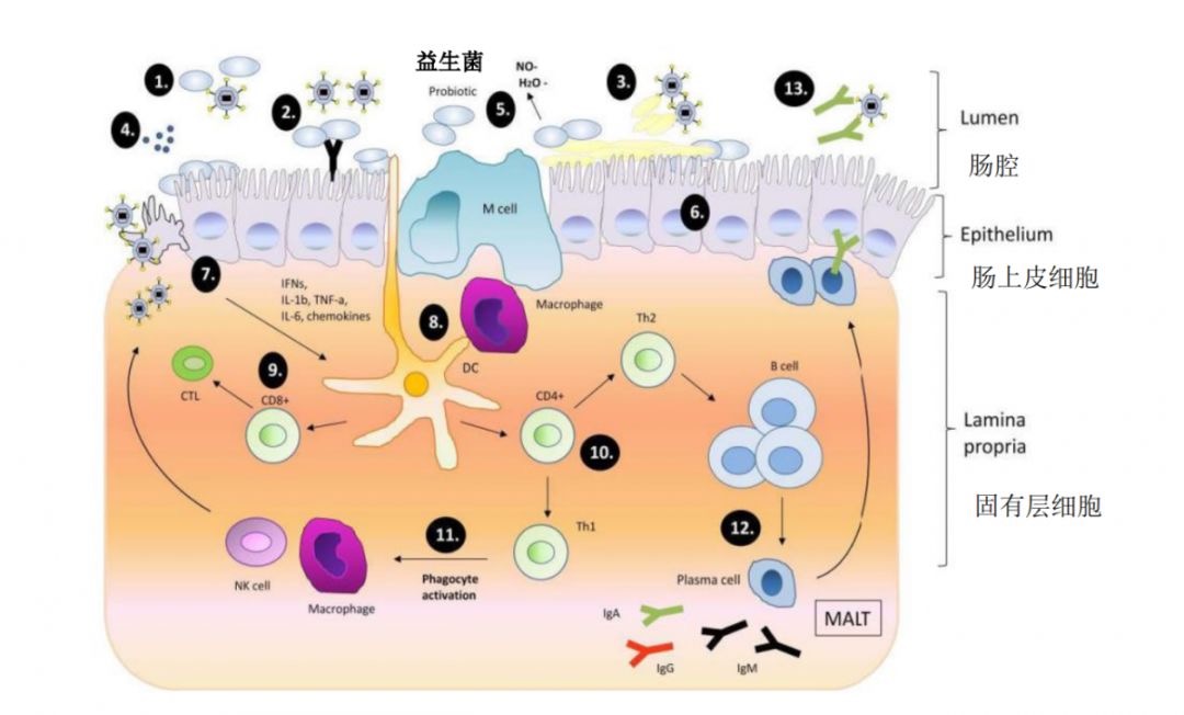 1582817583779222.jpeg WechatIMG2471.jpeg